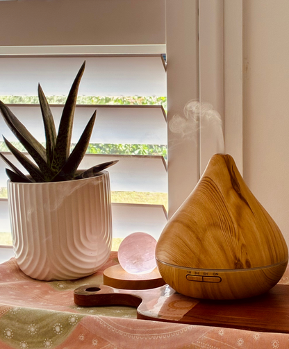 Oil diffuser with rose quartz and plant pot 